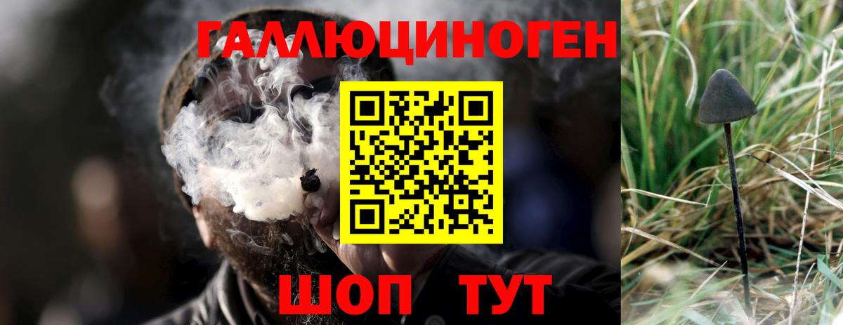 Галлюциногенные грибы Magic Shrooms Ковров